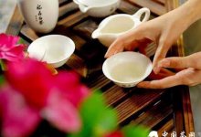 茶学系教授屠幼英细说白茶的６大保健功