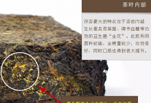 黑茶中的“金花”可有效防御雾霾危害