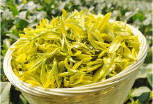  黄金芽茶叶多少钱一斤 2020安吉白茶黄金