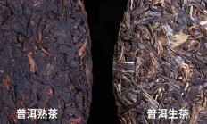 终于知道普洱茶“喝生不喝熟”的原因了